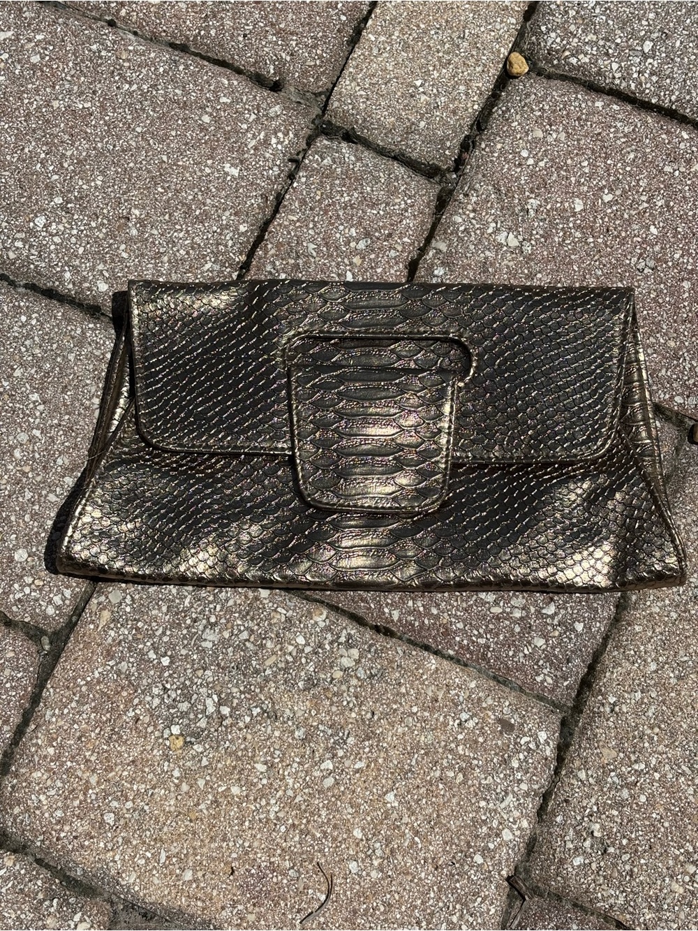 BIG BUDDHA Metallic Bronze Snake-Embossed Clutch